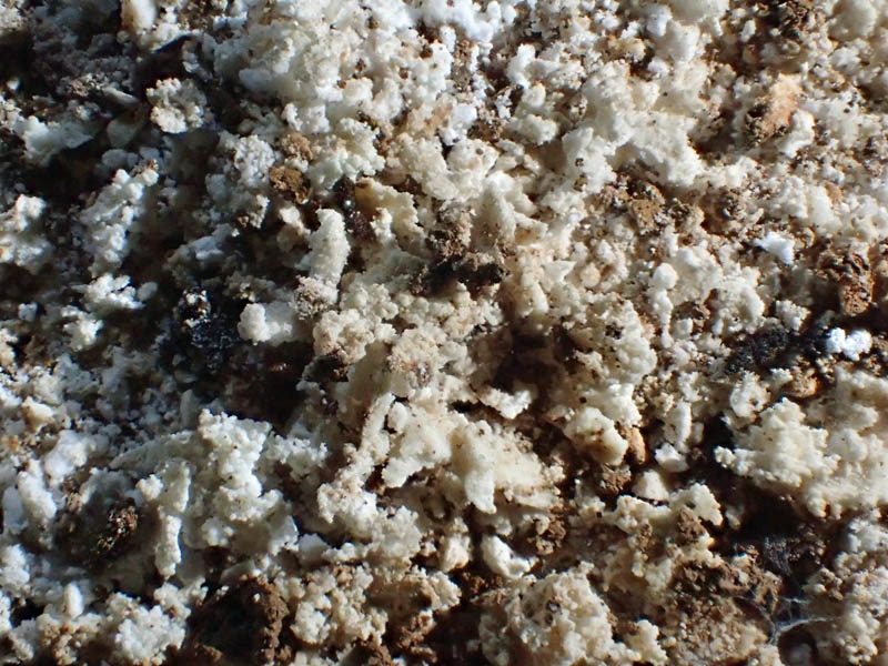 Site 2 - Close up of deposit